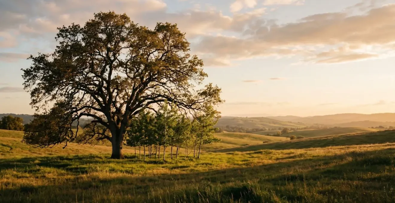 Concept de transmission patrimoniale entre générations symbolisé par un grand arbre protégeant de jeunes pousses.